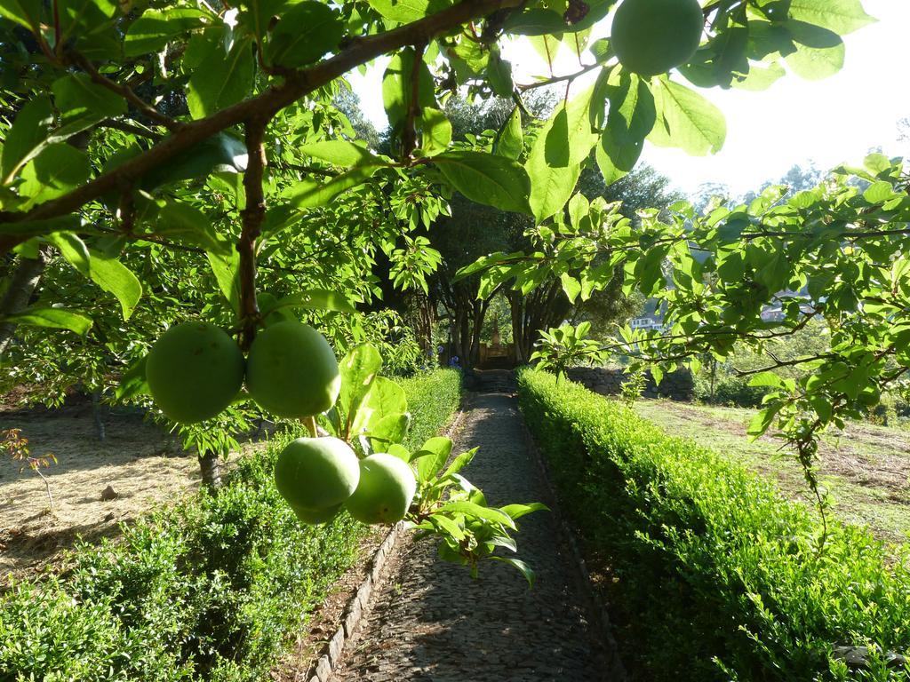 Bio Hotel - Hotel Quinta Da Serra Câmara de Lobos Eksteriør billede