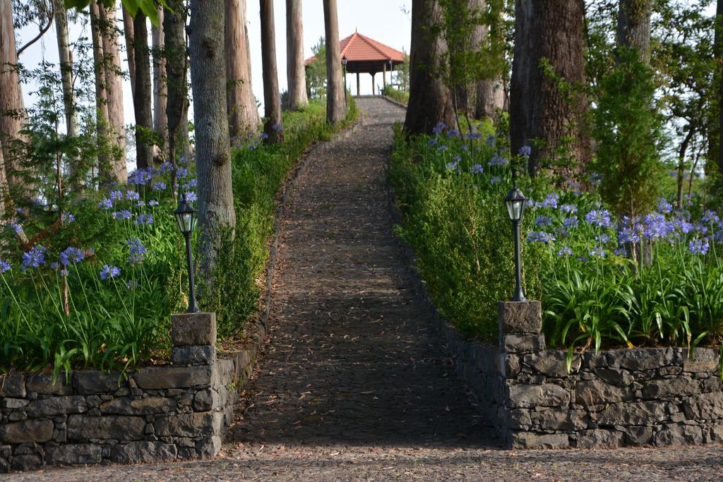 Bio Hotel - Hotel Quinta Da Serra Câmara de Lobos Eksteriør billede