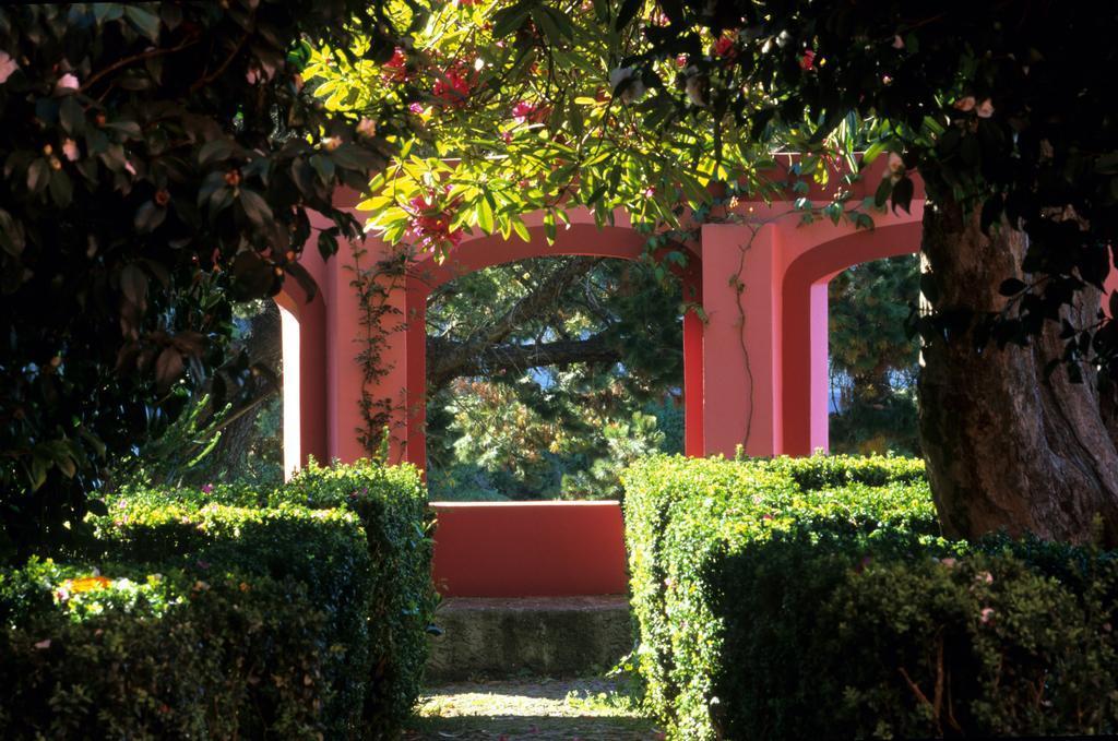 Bio Hotel - Hotel Quinta Da Serra Câmara de Lobos Eksteriør billede