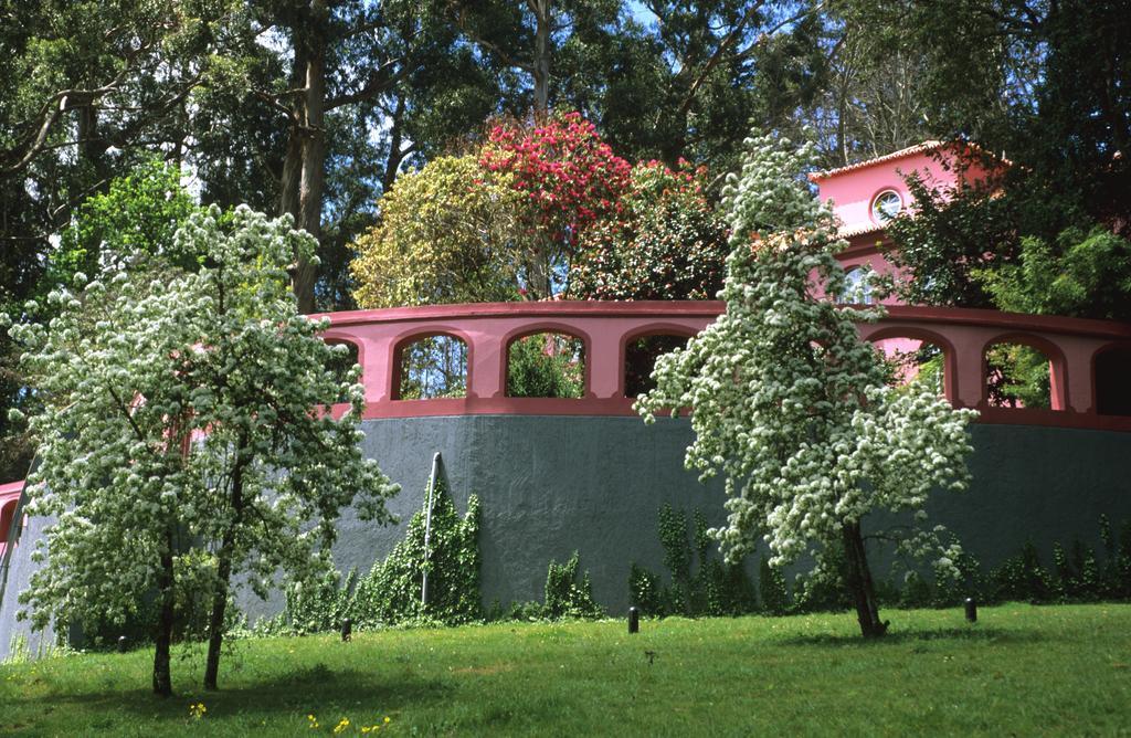 Bio Hotel - Hotel Quinta Da Serra Câmara de Lobos Eksteriør billede