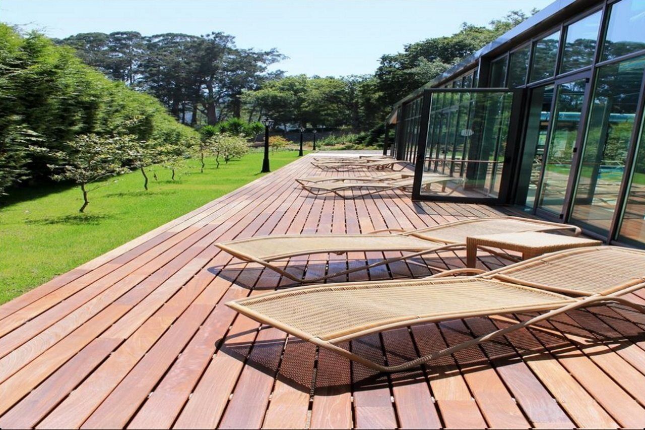 Bio Hotel - Hotel Quinta Da Serra Câmara de Lobos Eksteriør billede